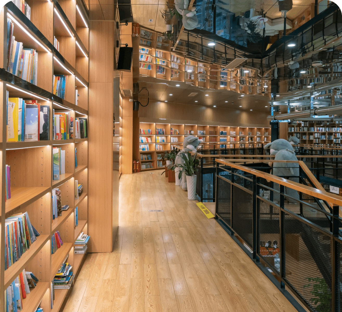 Building a library – Prepare the future for a genius
