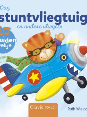 Dag stuntvliegtuig en andere vliegers