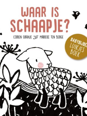 Waar is schaapje kartonboek
