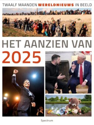 Aanzien van 2025