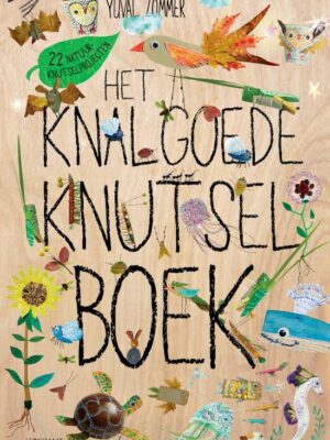 Knalgoede knutselboek