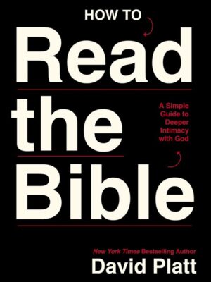 How to read the bible
