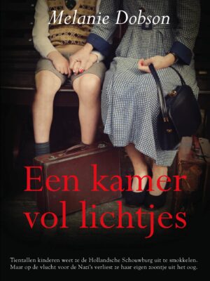 Kamer vol lichtjes POD