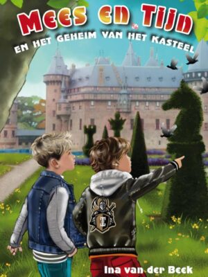 Mees en tijn en het geheim v h kasteel
