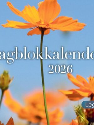 Dag in dag uit 2026 nbv dagblok