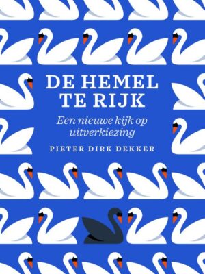 Hemel te rijk