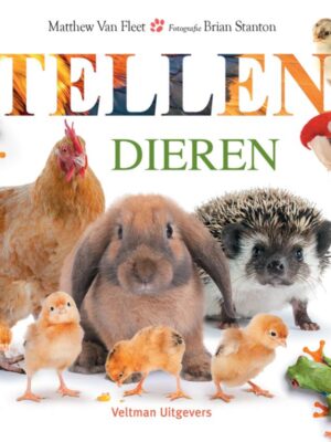 Dieren - tellen