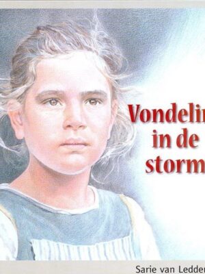 Vondeling in de storm