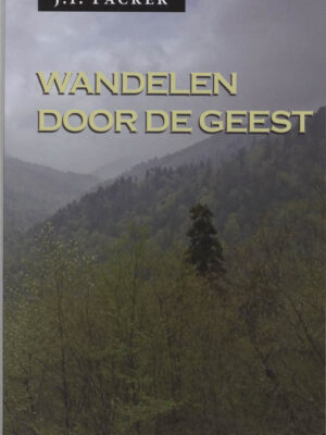 Wandelen door de Geest