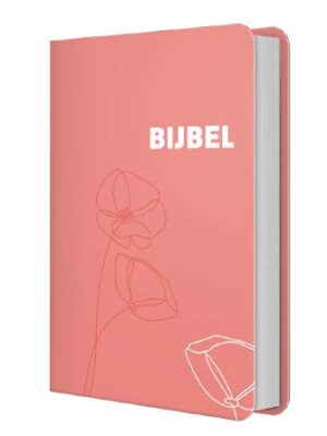 Bijbel HSV vrouw roze 12x18 cm