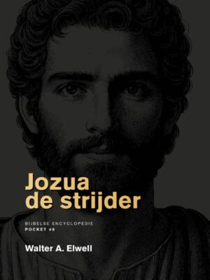 Jozua de strijder