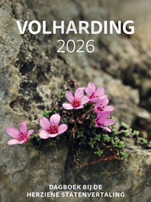 Volharding 2026