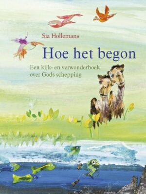Hoe het begon