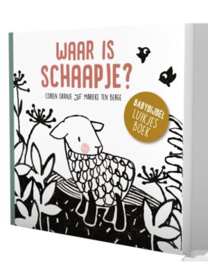 Waar is schaapje kartonboek