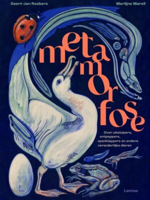 Metamorfose