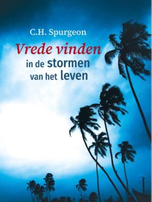 Vrede vinden in de stormen van het leven