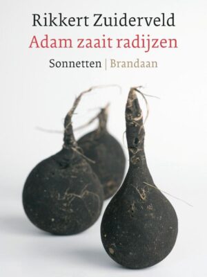 Adam zaait radijzen