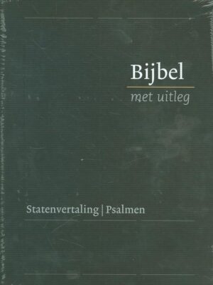 Bijbel bmu GROOT zwart goud