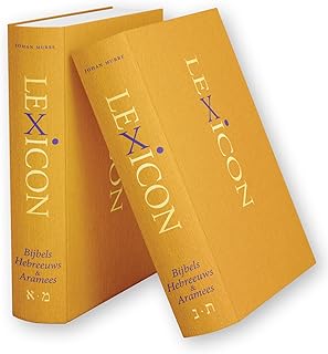 Lexicon Bijbels Hebreeuws (2-delig)